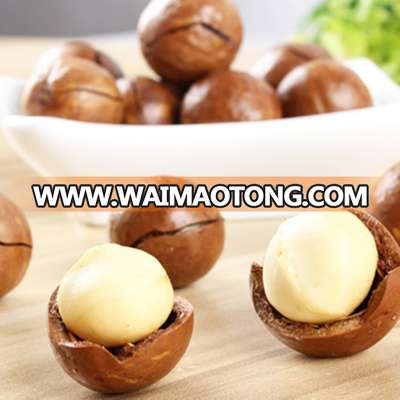 China Supplier of Macadamia nut