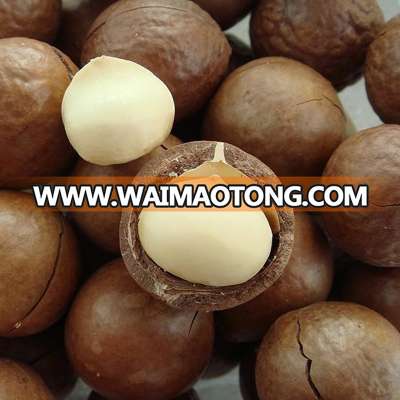 macadamia nuts roasted