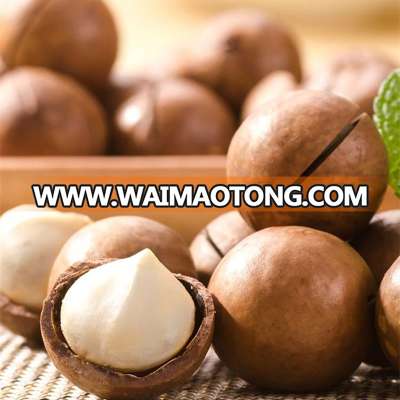 macadamia with good price