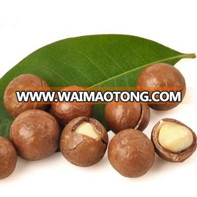 macadamia nuts for sale