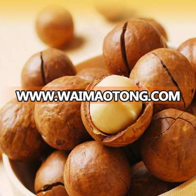 Raw organic macadamia nuts shelled , professional supplier