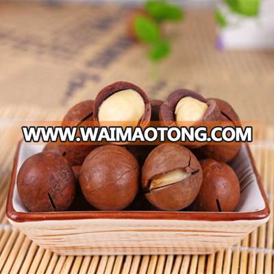 Chinese Macadamia nuts for wholesale