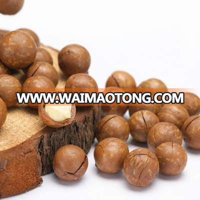 show quality macadamia nuts for sale