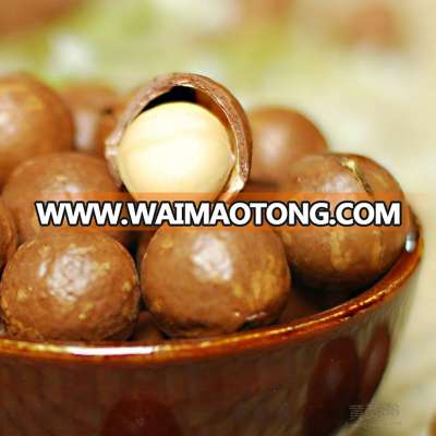 Raw macadamia nut