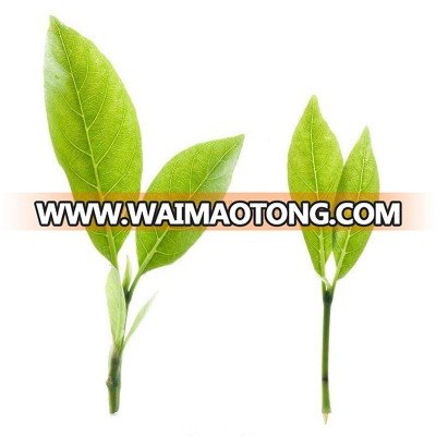 chinese jasmine flower green tea factory price