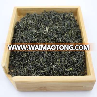 Cheap price China Green Tea for Morocoo, Algerie, Mali, Mauritania, Uzbekistan, Japan, Russia