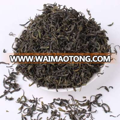 best green tea brands tea manufacturer